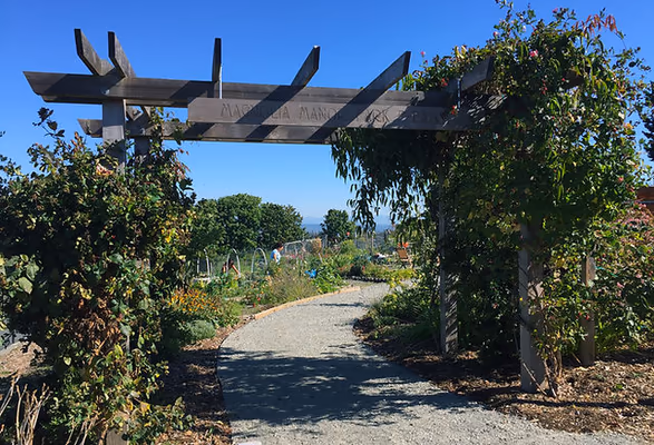Magnolia Manor Park Off-Leash Area photo 1